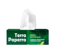 Салфетки бумажные TERRA PAPERRA, двухслойные, коробка, 100 шт., 19*21