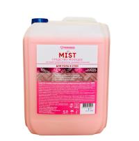 Средство для полов и стен ПРОФФ MIST 5 л