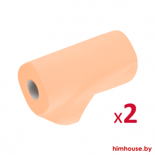 Полотенца бумажные АЛЬБЕРТИН двухслойные цветные, 2 рулона