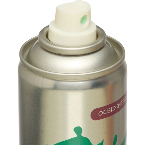 Освежитель воздуха PALITRA аэрозоль 300 мл ГОРНЫЙ